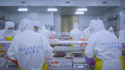 全國首個小龍蝦加工基地揭牌 全鏈賦能‘蝦’經濟，助力鄉(xiāng)村振興與技術推廣