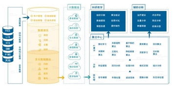 雅森科技陳暉 十年求索，探路醫療AI的上海實踐與需求邊界