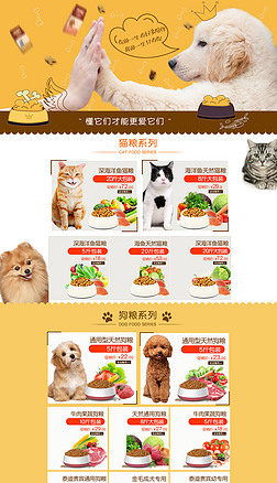 打造吸睛寵物水族店鋪 專業(yè)模板裝修與食品用品陳列全攻略