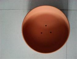 福來(lái)翔鴿 專業(yè)寵物用品生產(chǎn)廠，專注寵物食品與用品品質(zhì)